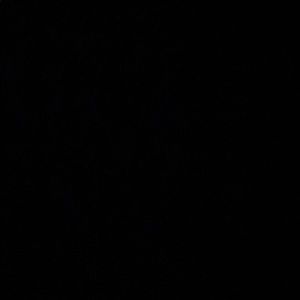 Meet your Posher, Madi